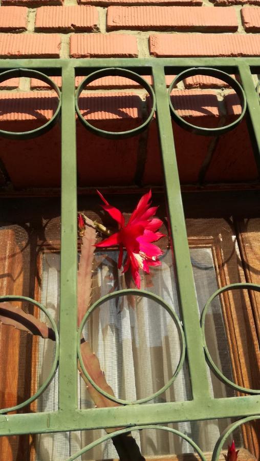 Lo De Su Bed & Breakfast Salta Exterior photo